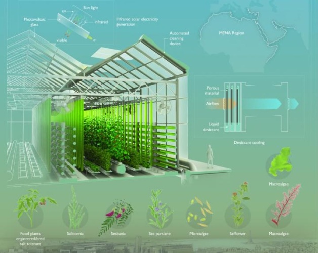 hydroponics, controlled agricultural environment