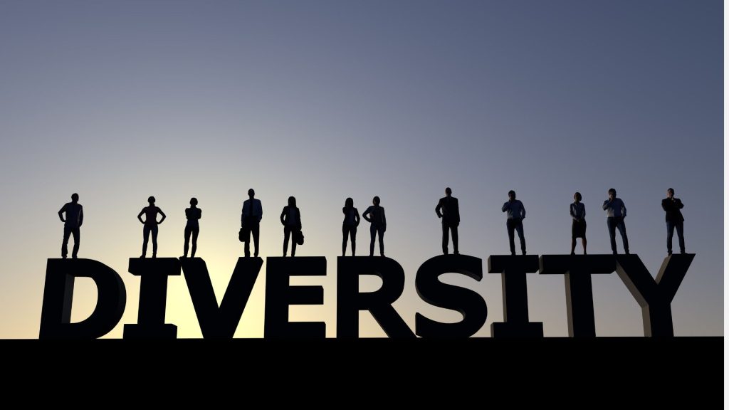 Startup Diversity
