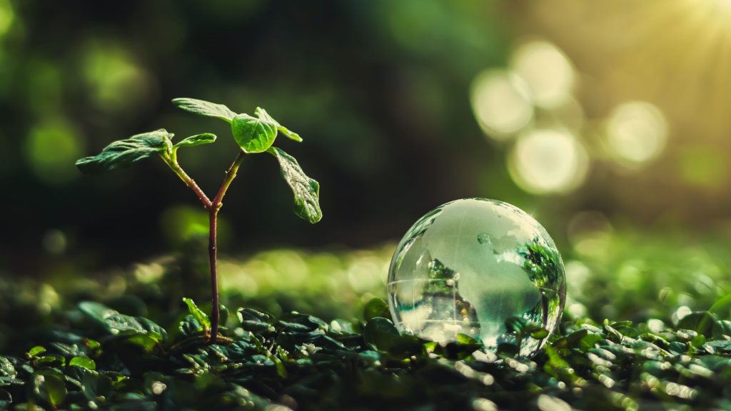 Sustainability Practices