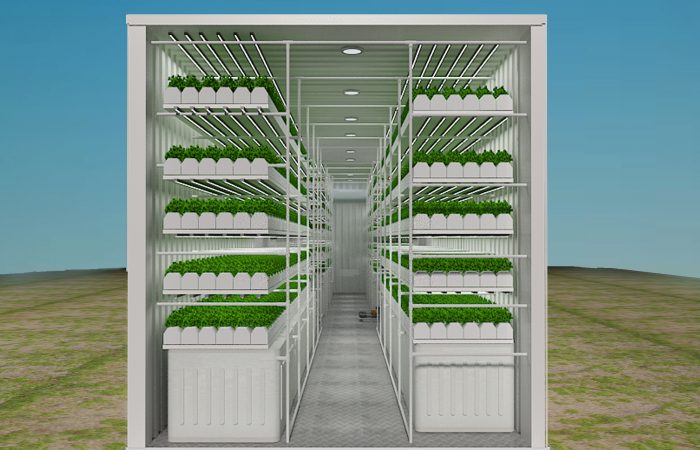 container farming, hydroponics container farming, hydroponics