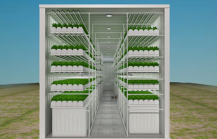 container farming, hydroponics