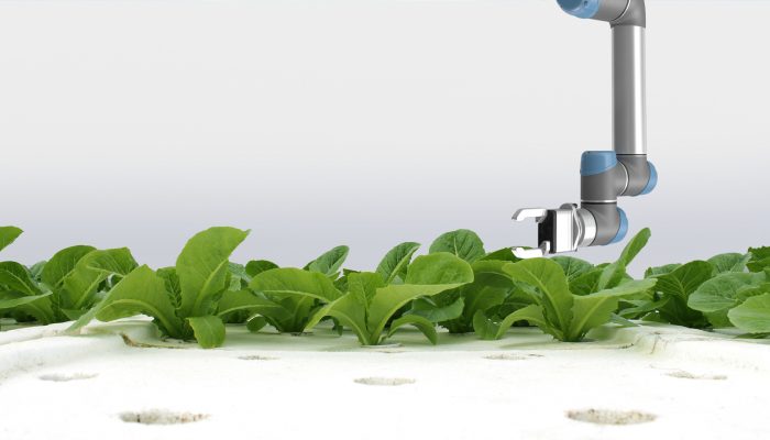 autonomous farming, hydroponics autonomous farming, hydroponics