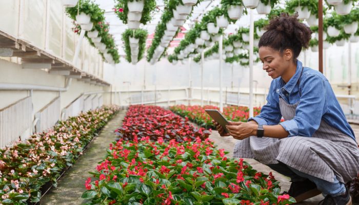 Smart technology hydroponics and work in greenhouse. Woman in smartwatch sits near flowers in orangery multiple crops solution, hydroponics